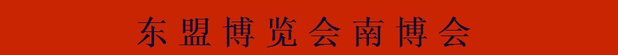 2013第十屆中國—東盟博覽會(huì)-輕工展